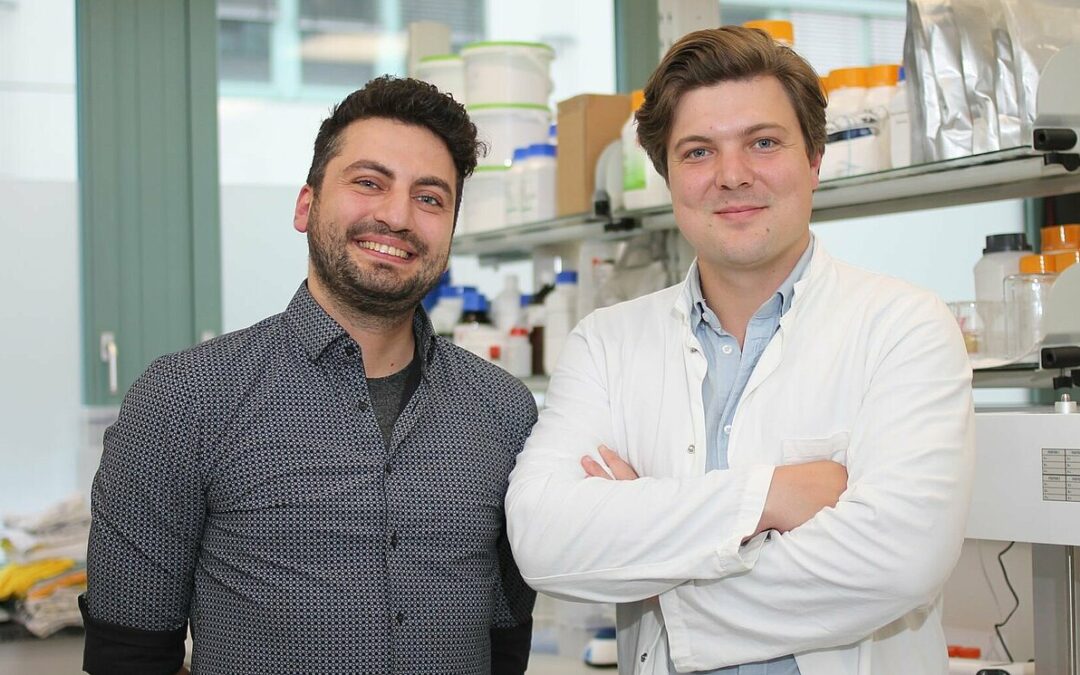 Erfolgsgeschichten: Startup aus der OTH Regensburg sichert sich Millionen-Finanzierungen